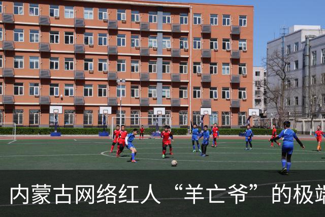 内蒙古网络红人“羊亡爷”的极端饮食与健康风险研究